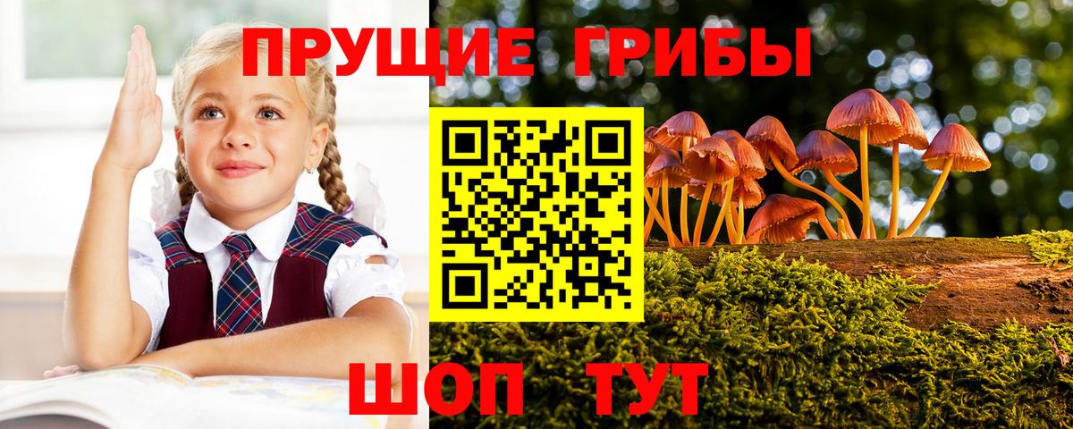 Псилоцибиновые грибы Magic Shrooms Заволжье