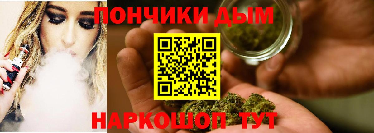 Бошки Шишки планчик Заволжье
